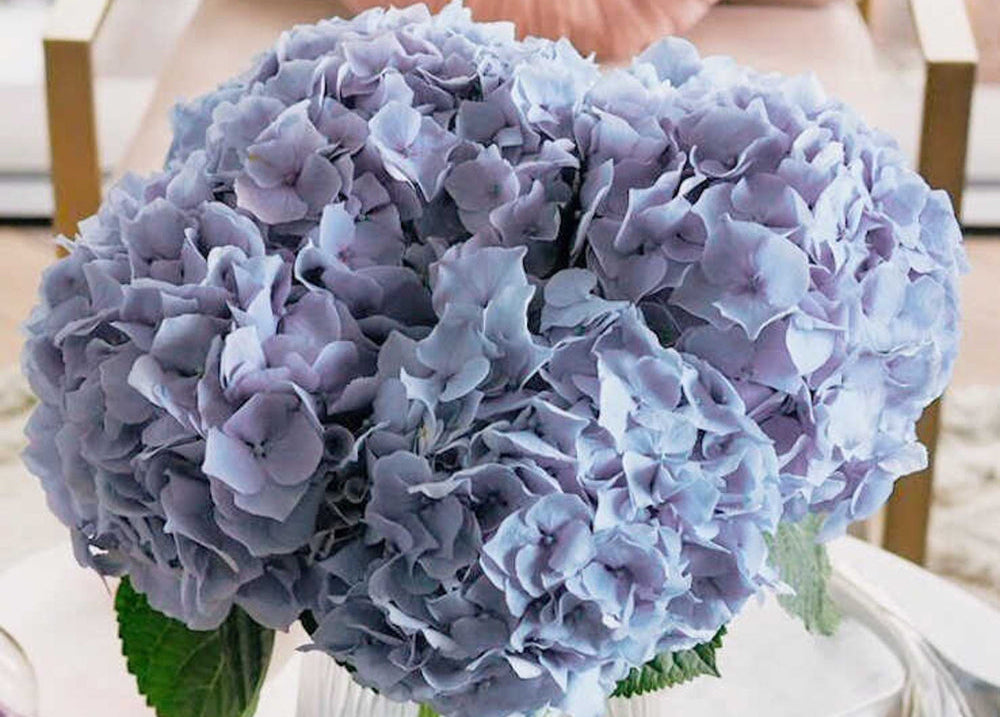 Luxury Birthday Bouquets for Her: Gifting Elegance in London