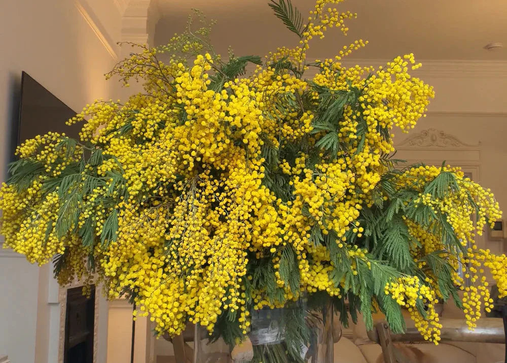 🌸 International Women’s Day Flowers in London: Meaningful Ways to Celebrate