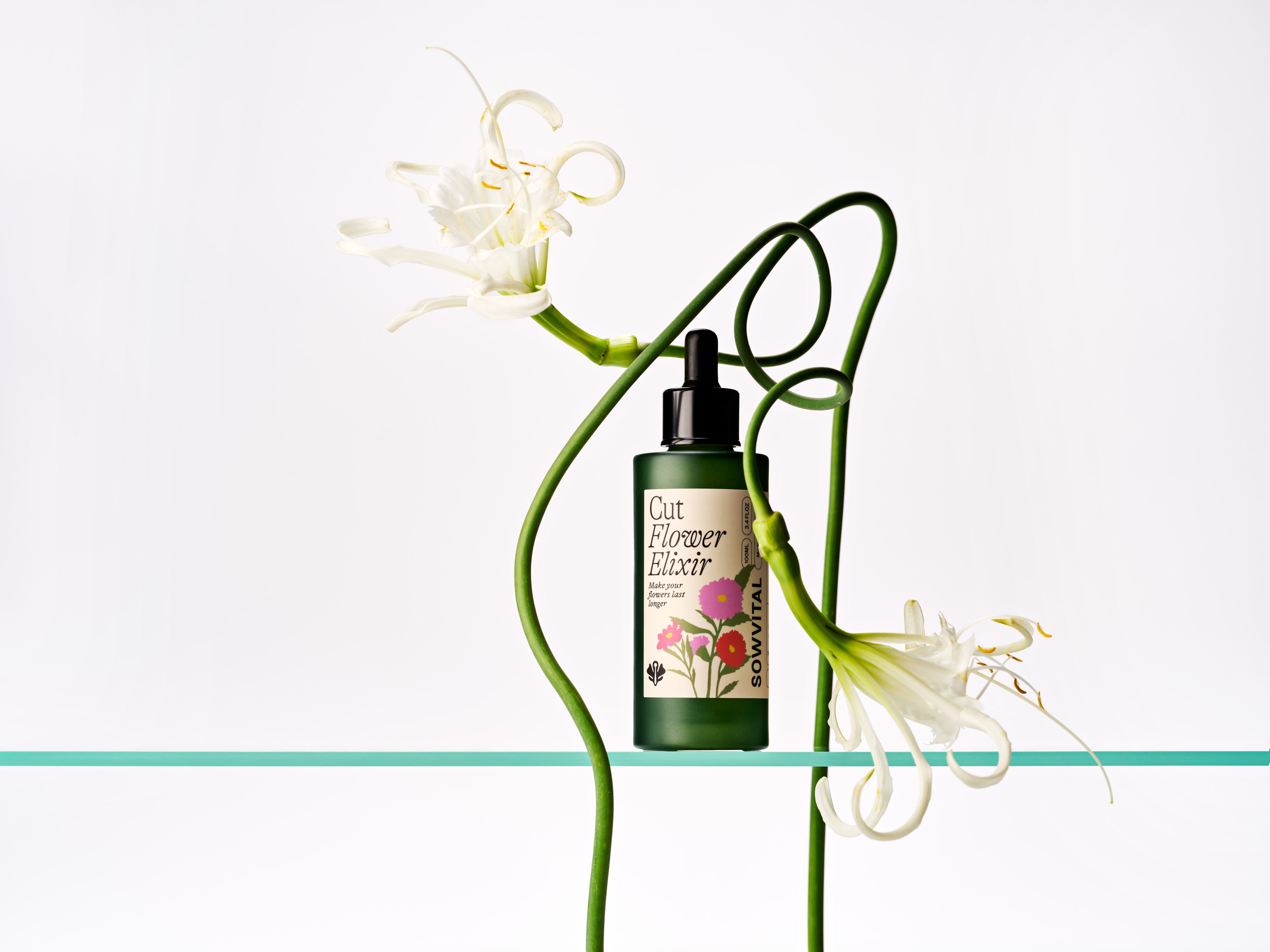 Cut Flower Elixir, 100ml - Petals at Bibendum