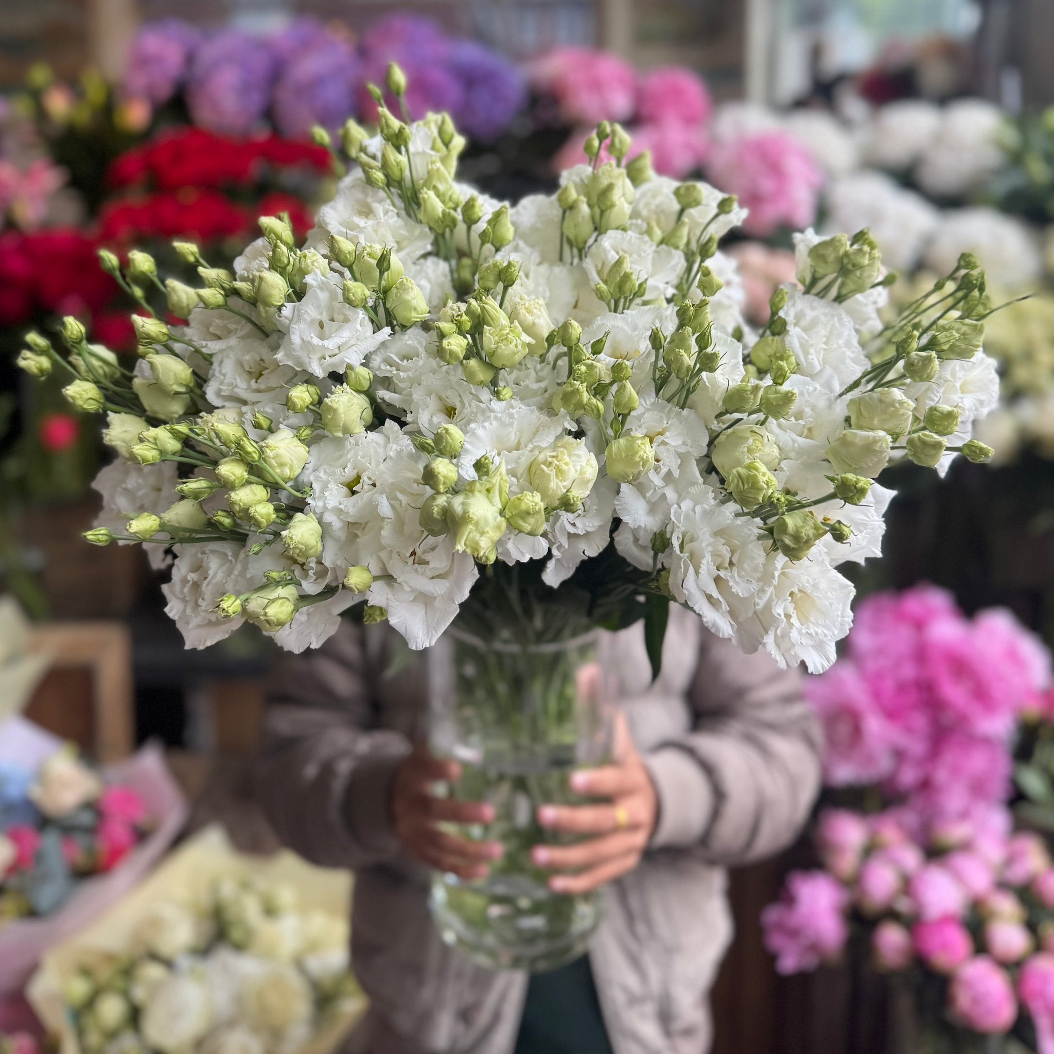 White XL Lisianthus