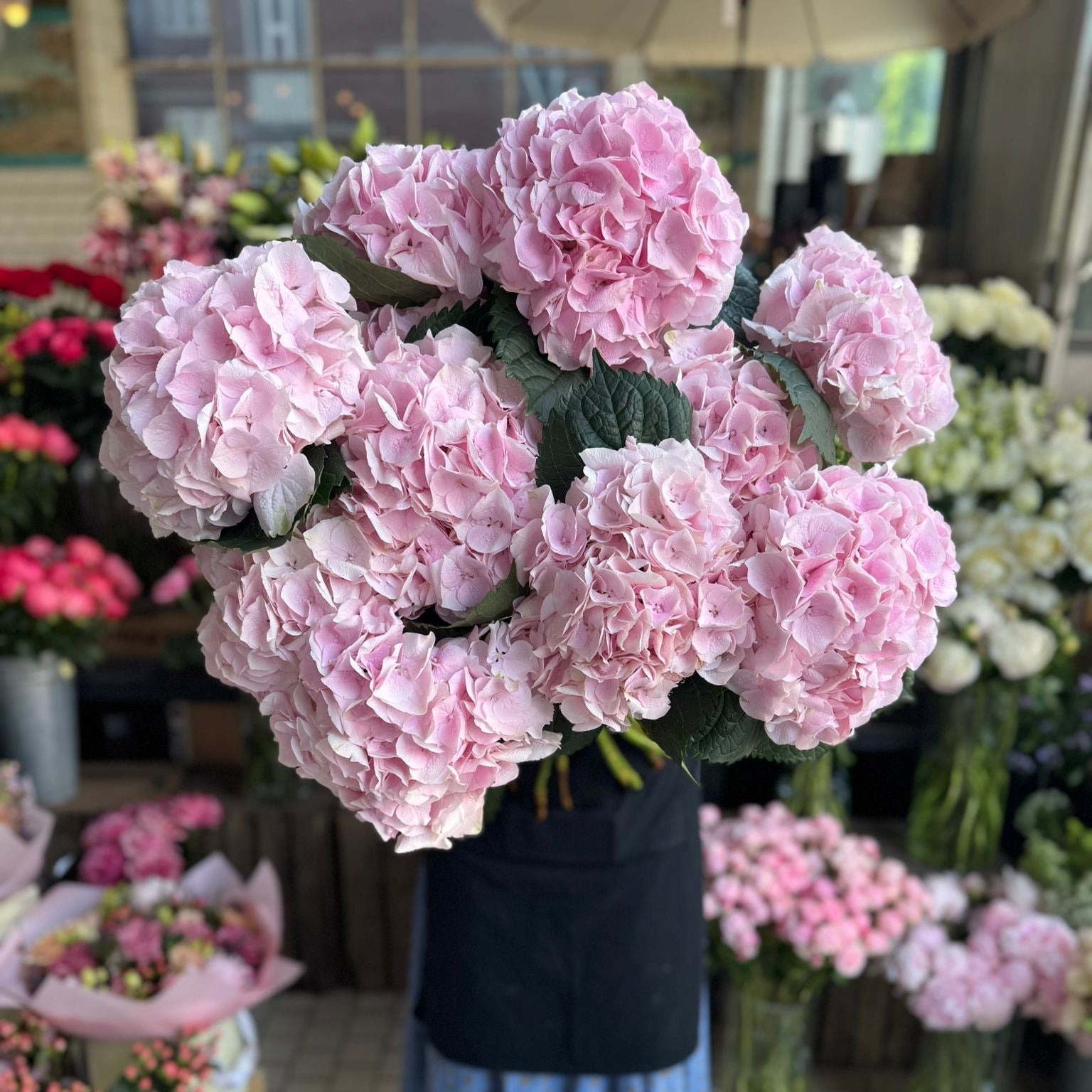 Pink Hydrangea - Petals at Bibendum