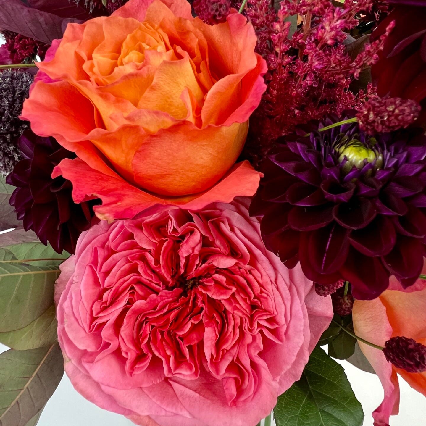 Winter Collection - Petals at Bibendum