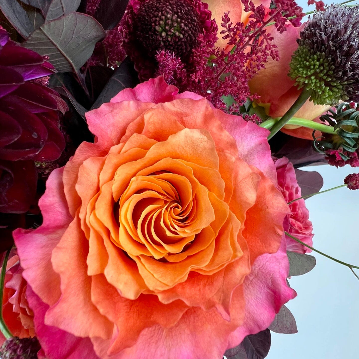 Winter Collection - Petals at Bibendum