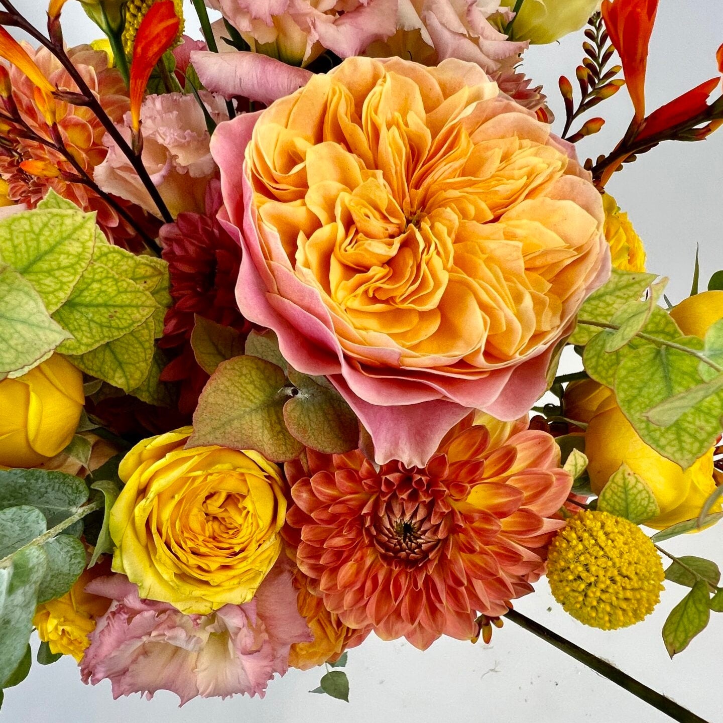 Winter - Large - Petals at Bibendum