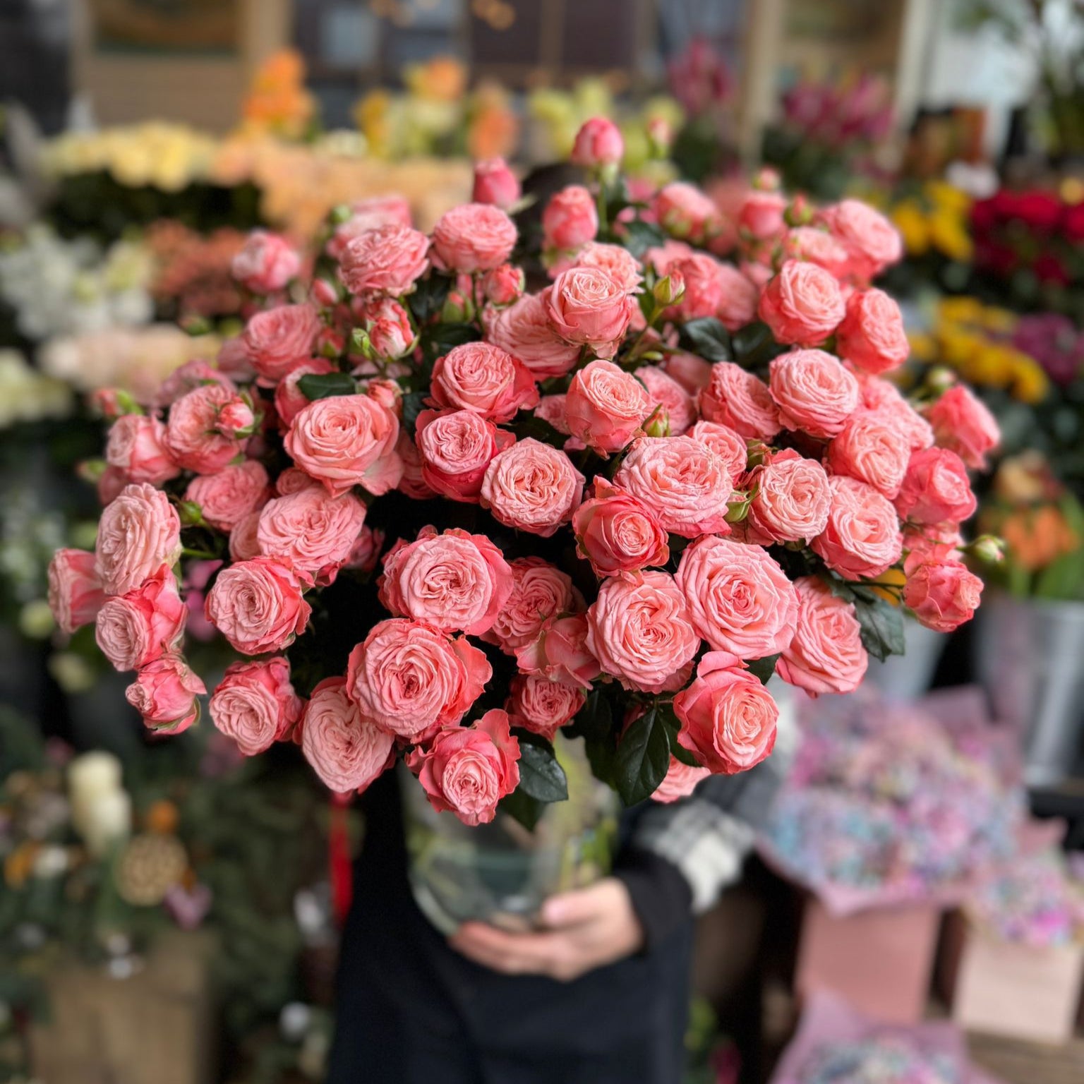 Champagne Kiss Spray Rose - Petals at Bibendum