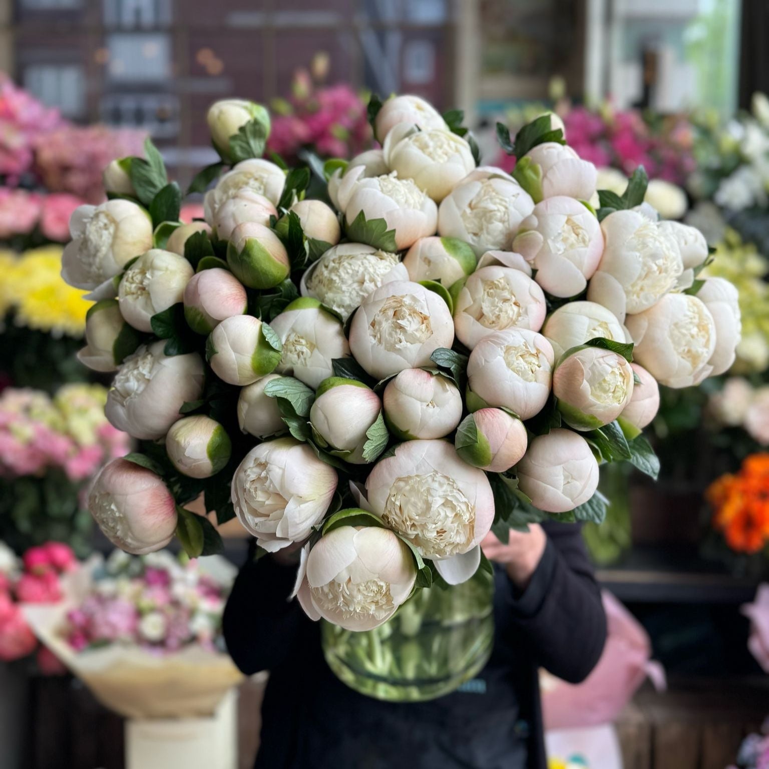 Cream Peony - Petals at Bibendum