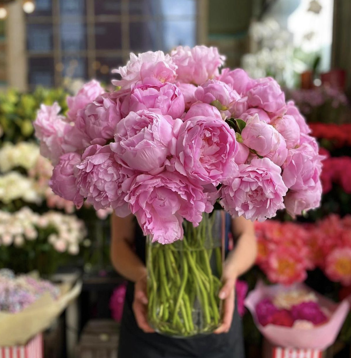 Pink Peony - Petals at Bibendum