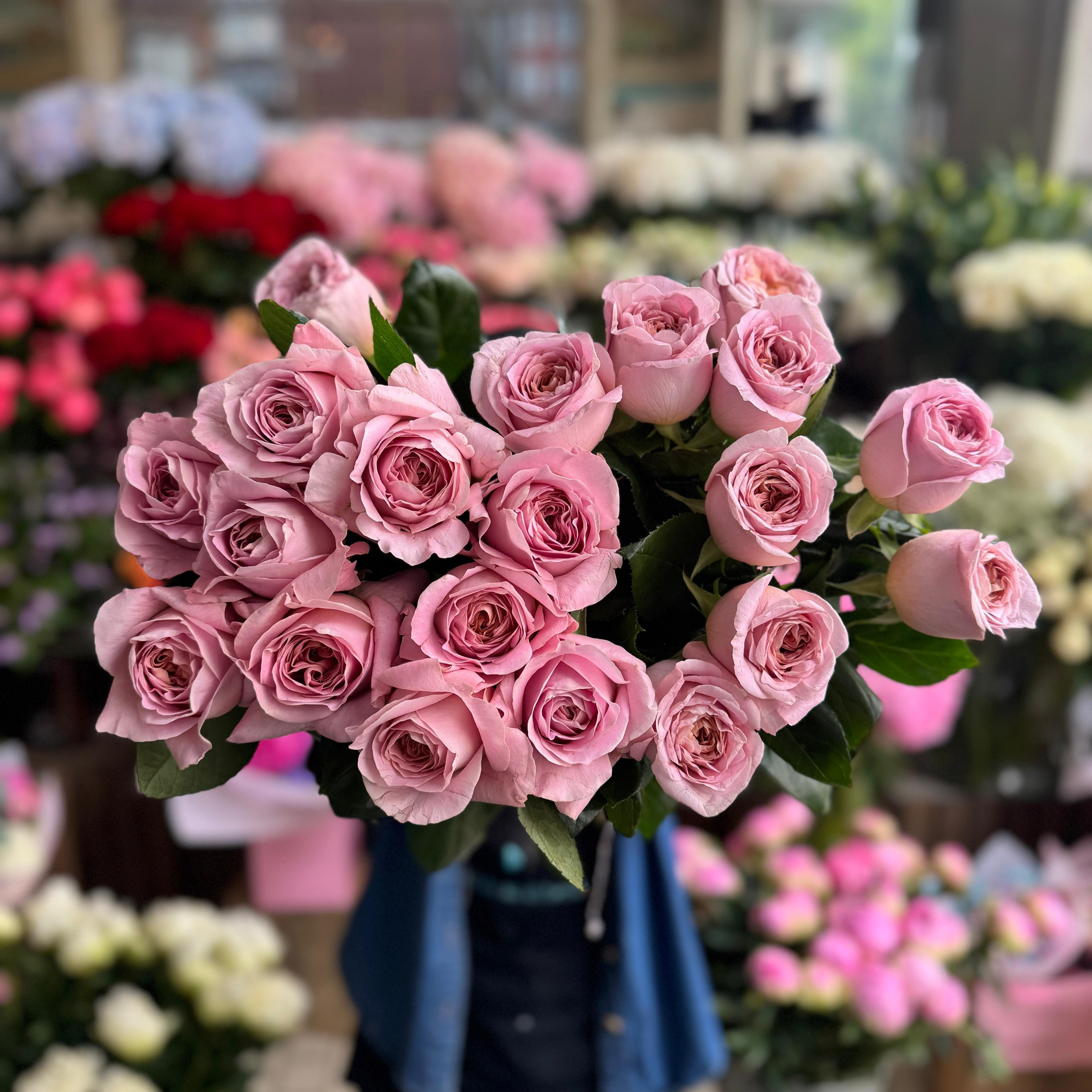 Villa Isadora VIP roses