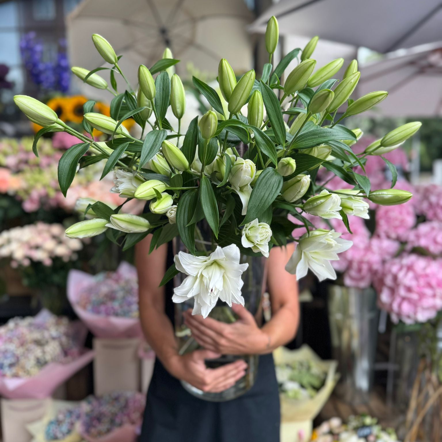 Rosalily White - Petals at Bibendum