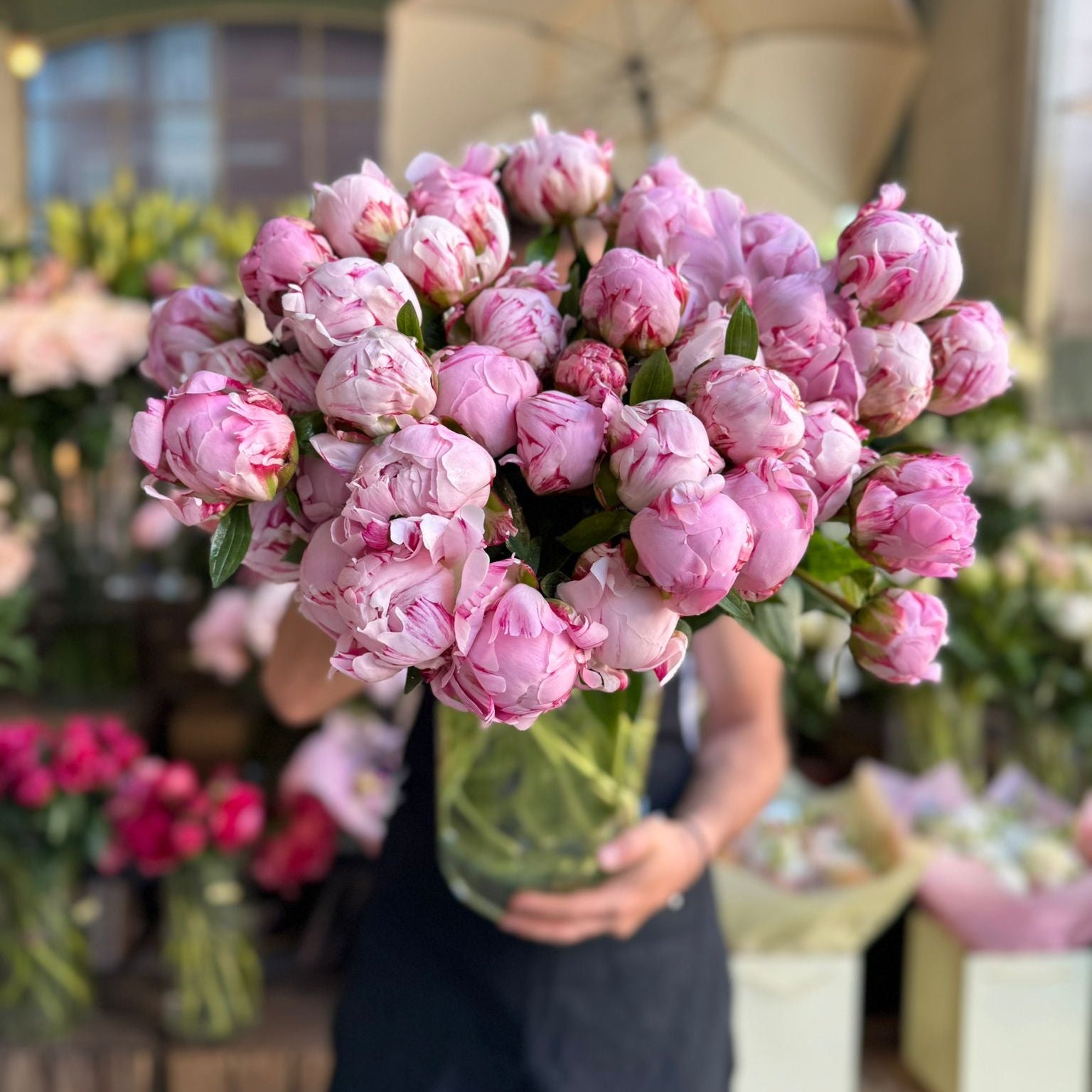 Reine Hortense Peony