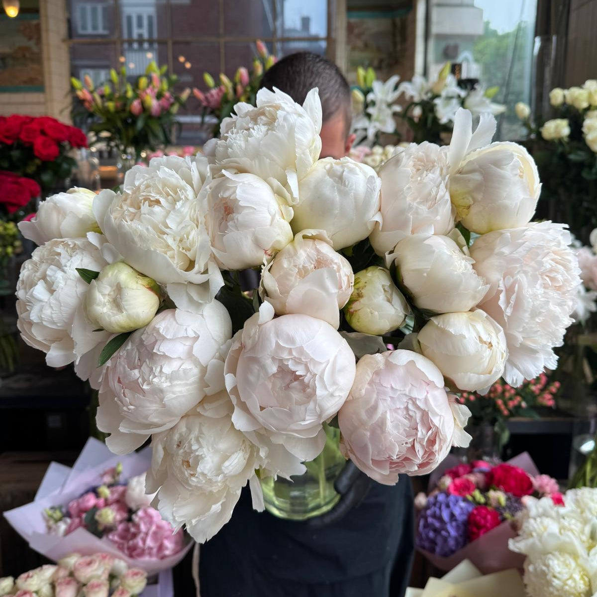 Madame Claude Tain Peony