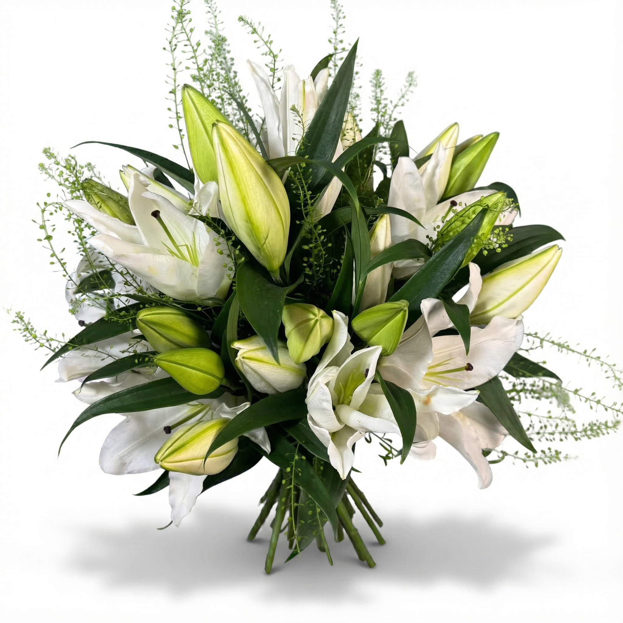 Our White Lily
