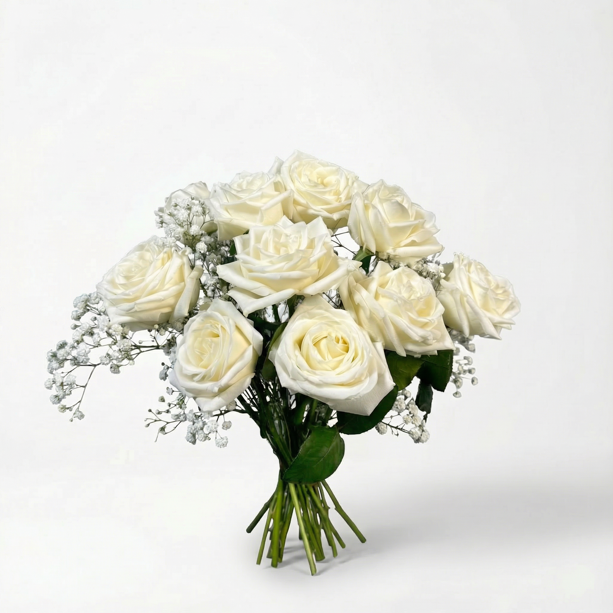 Mother's Rose - Petals at Bibendum