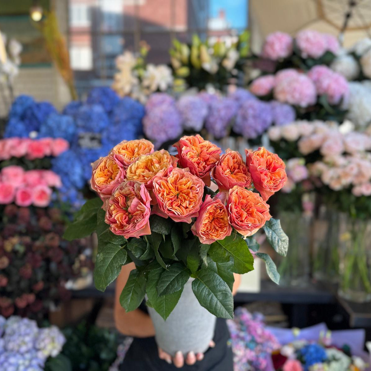 Kensington Garden VIP Rose - Petals at Bibendum