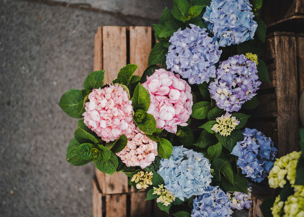 The Art of Occasion-Based Floristry: Choosing the Right Flowers for Every Moment