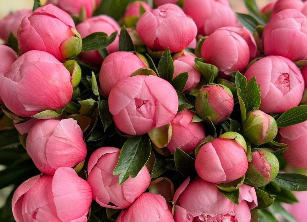 10 Unique Mother’s Day gift Ideas to Make Mum Smile in 2025