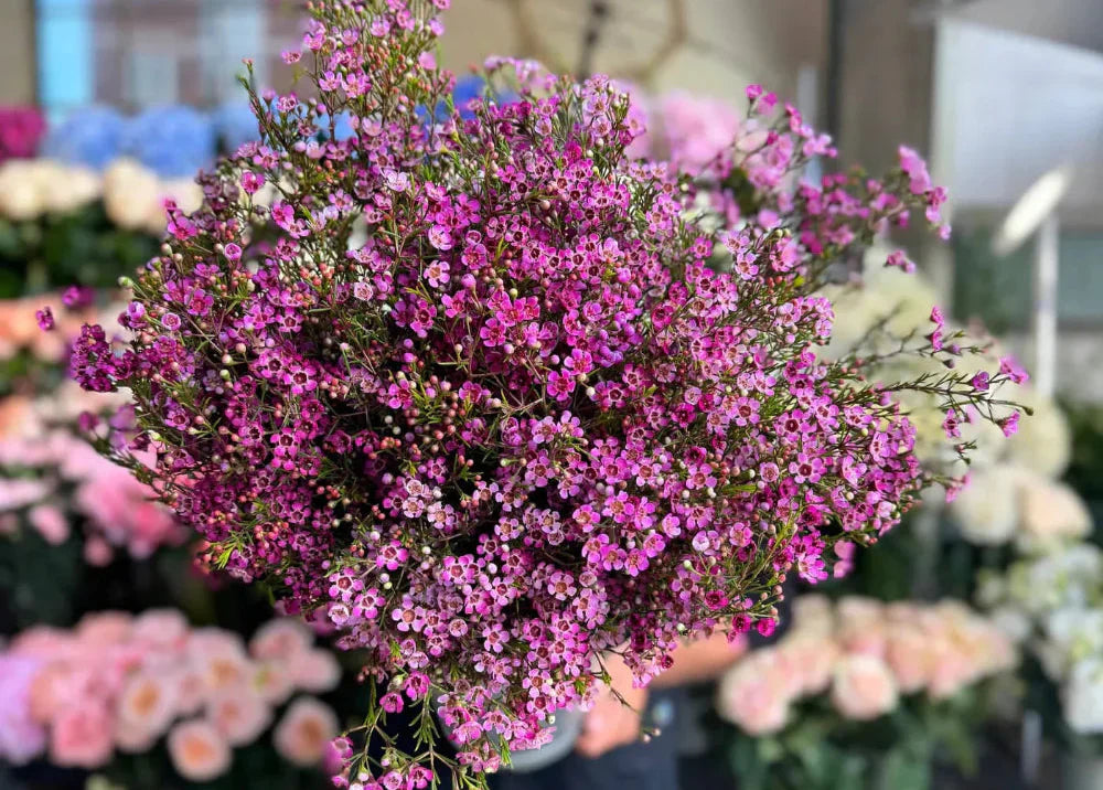 A Guide to Chelsea’s Floral Aesthetic: Trends in Luxury Flower Design