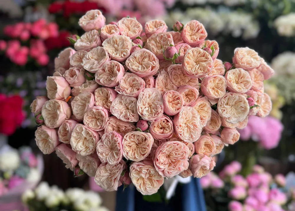 What Makes a Rose Rare? Behind the Petals of the World’s Most Exclusive Blooms