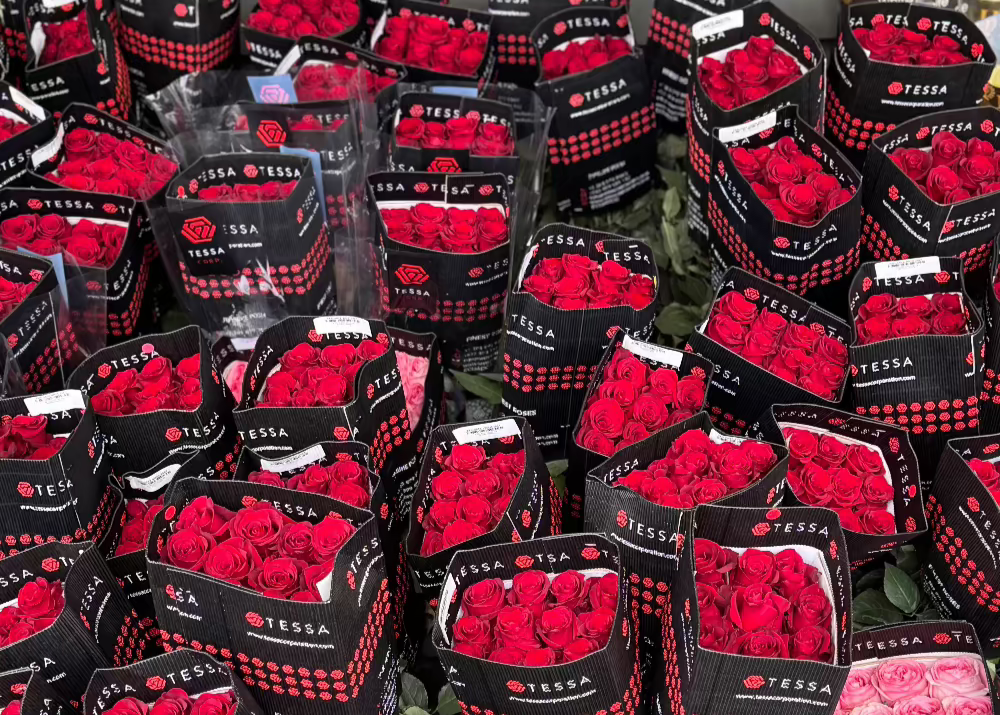 Unveiling the Timeless Elegance of the Rose: A Deep Dive into the World of This Enchanting Flower