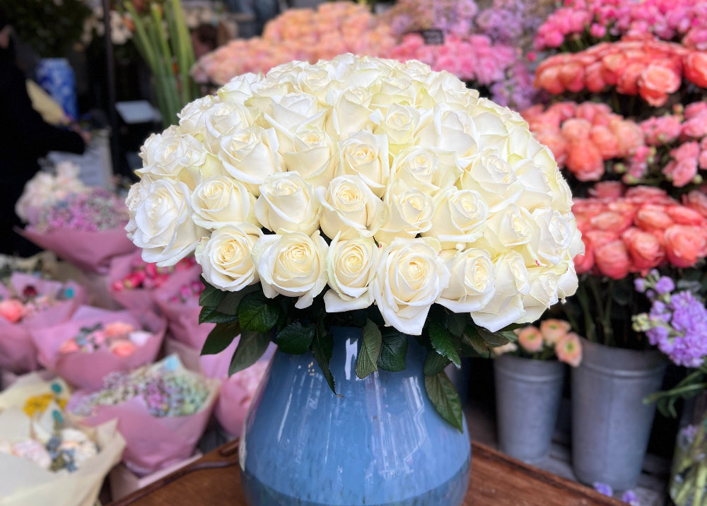 Unveiling the Beauty of the White Avalanche Rose