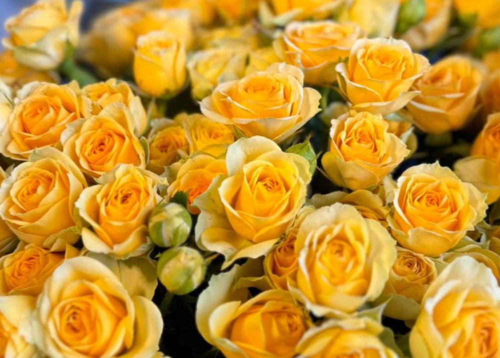 Seasonal Flower Trends: Elevating Your Home Decor with Premium Blooms