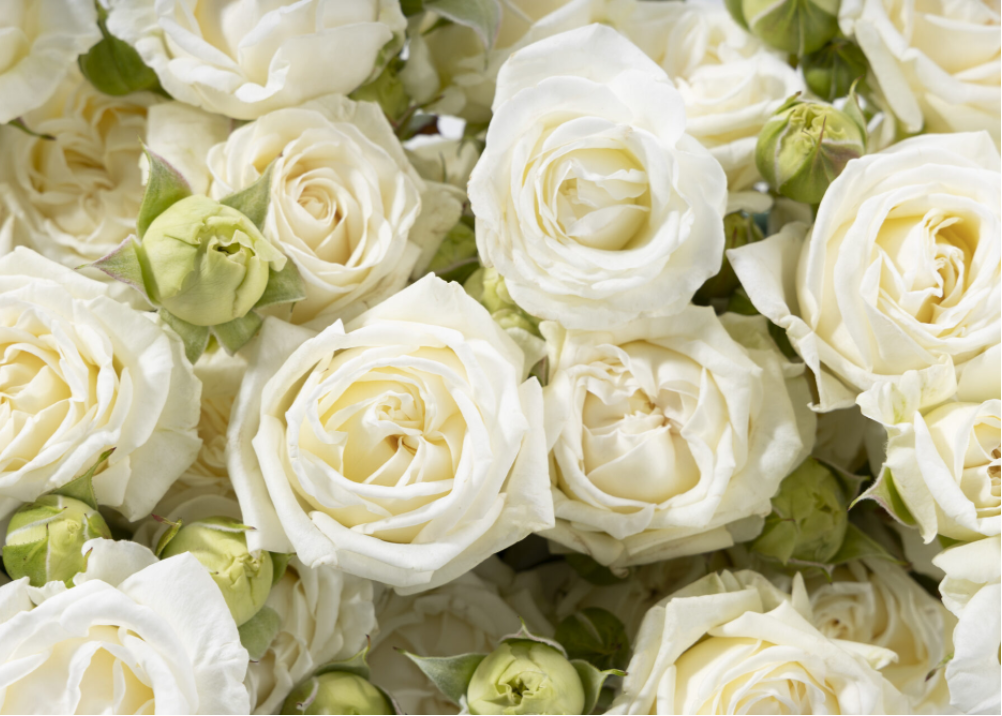 Luxury Flowers in Chelsea: What Sets the Finest Florists Apart