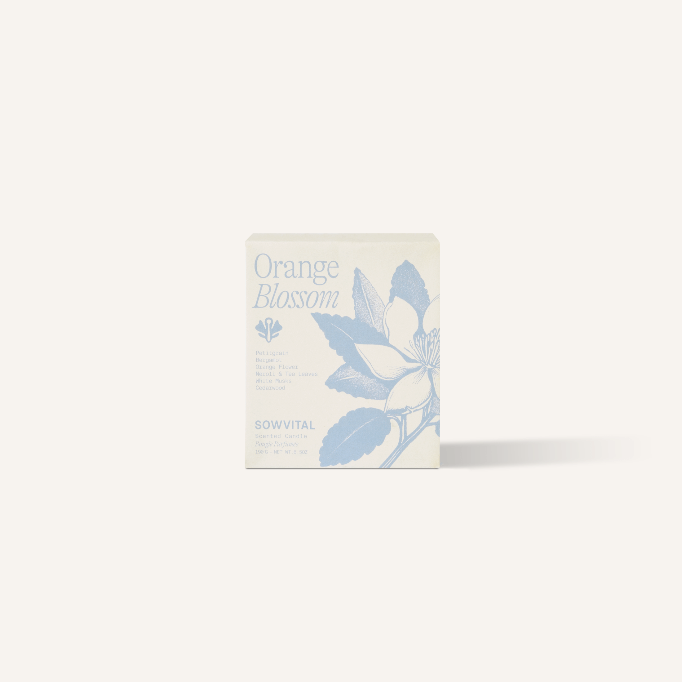 Scented Candle, Orange Blossom - Petals at Bibendum