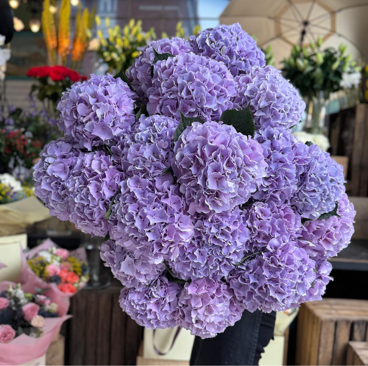 Lilac Hydrangea - Petals at Bibendum