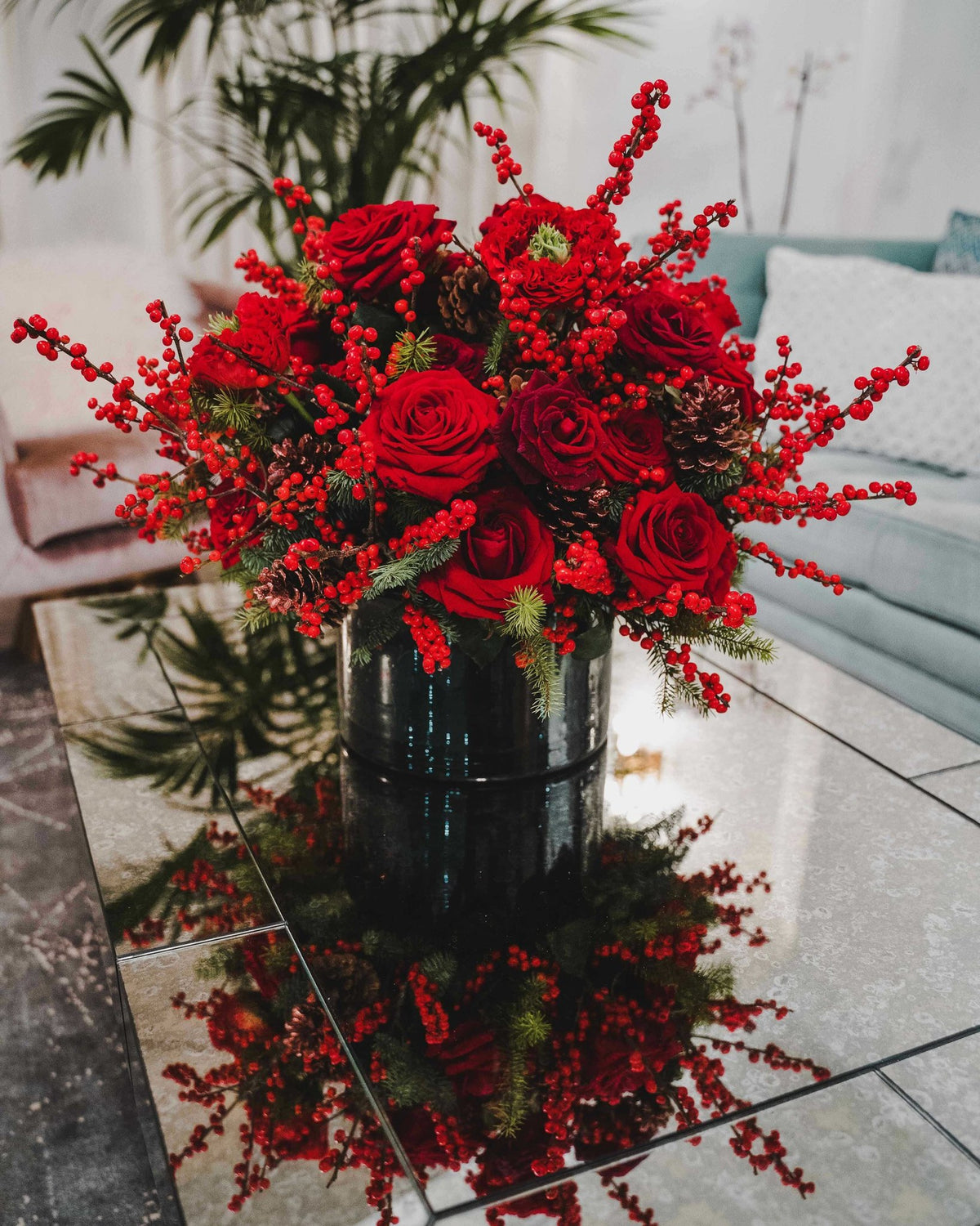 Festive Red Ilex