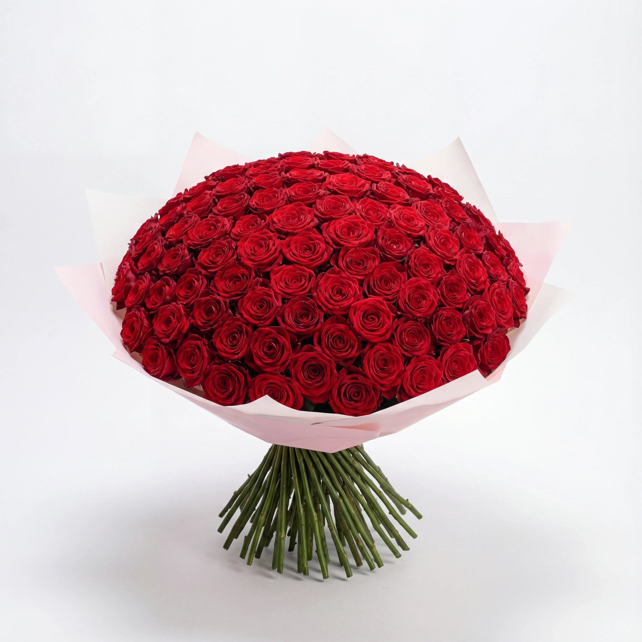 The Grand Bouquet – 100 Red Roses