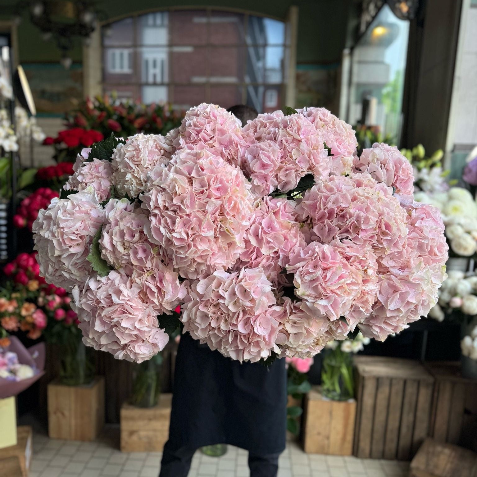 Pink Hydrangea - Petals at Bibendum