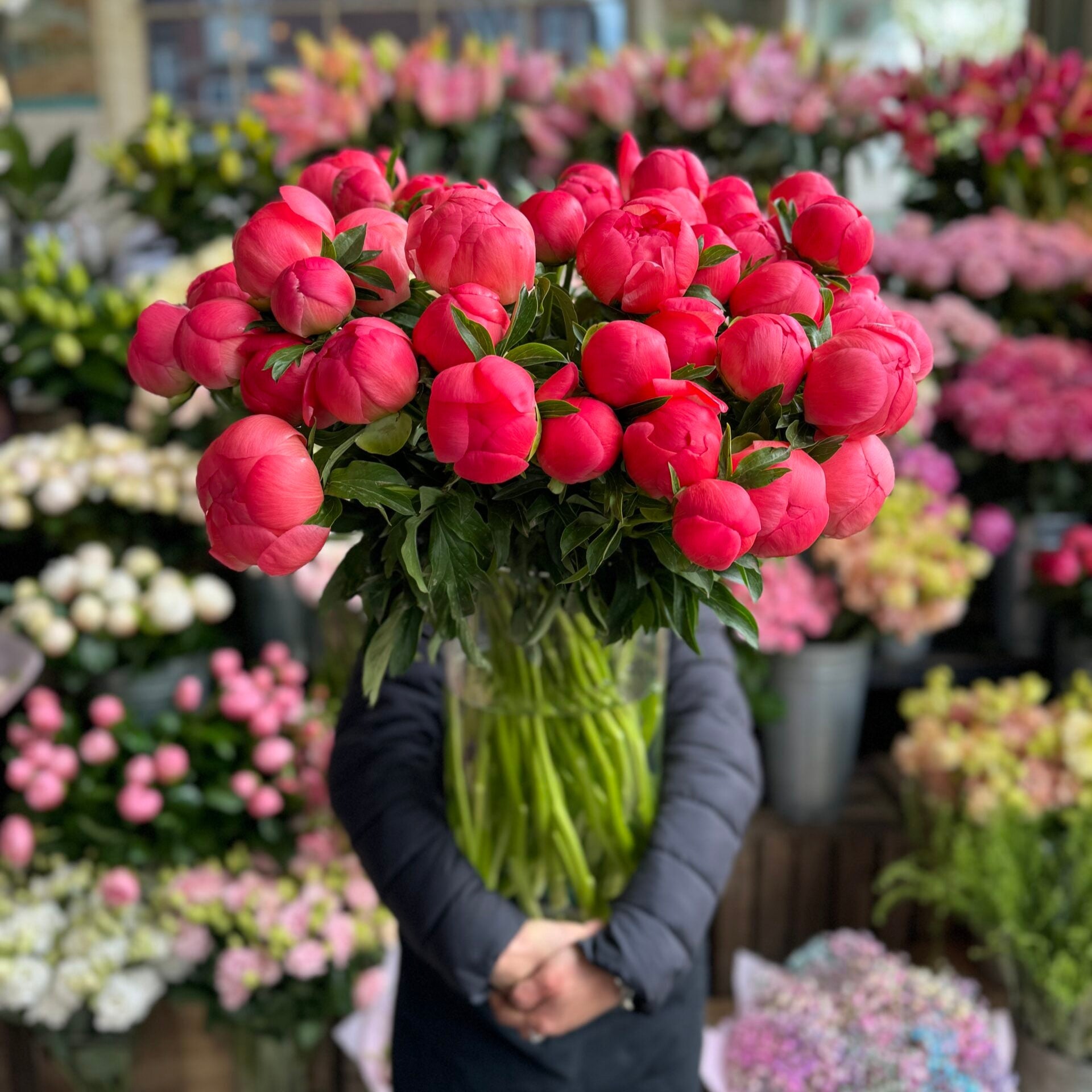 Coral Peony - Petals at Bibendum