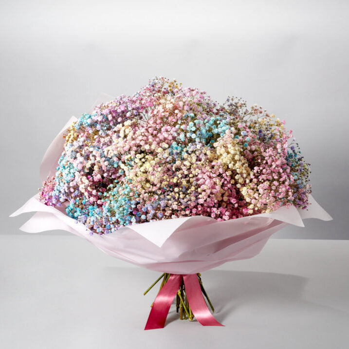 Rainbow of Dreams - Petals at Bibendum