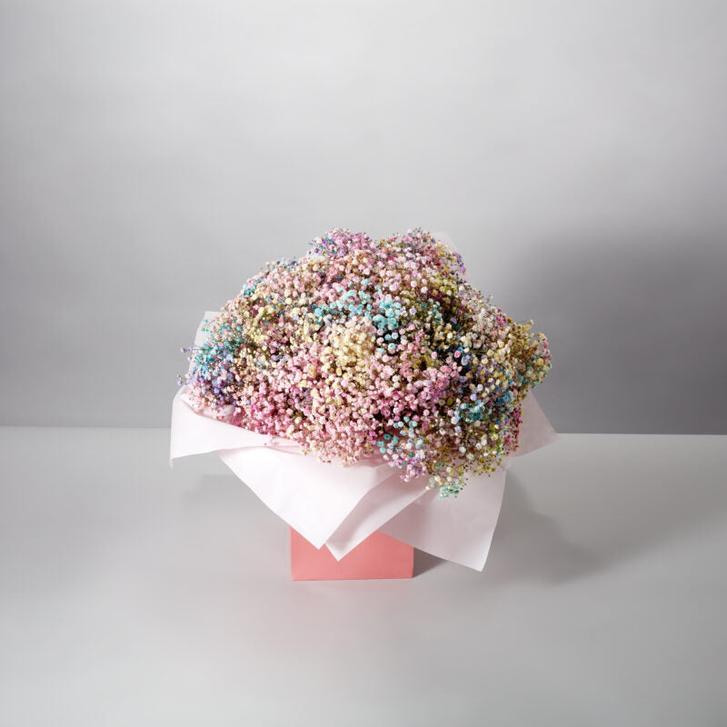 Rainbow of Dreams - Petals at Bibendum