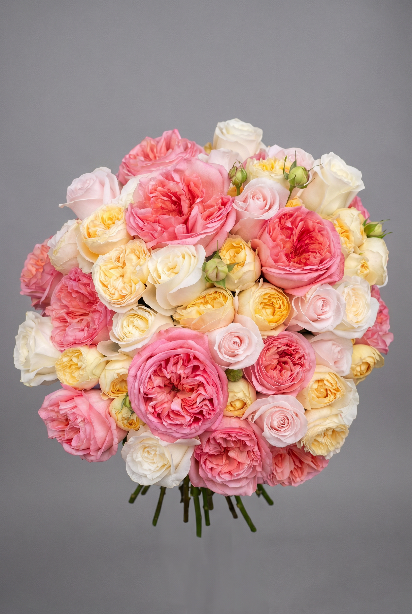 The Apex — luxury hand-tied multitone blush rose bouquet by Petals London