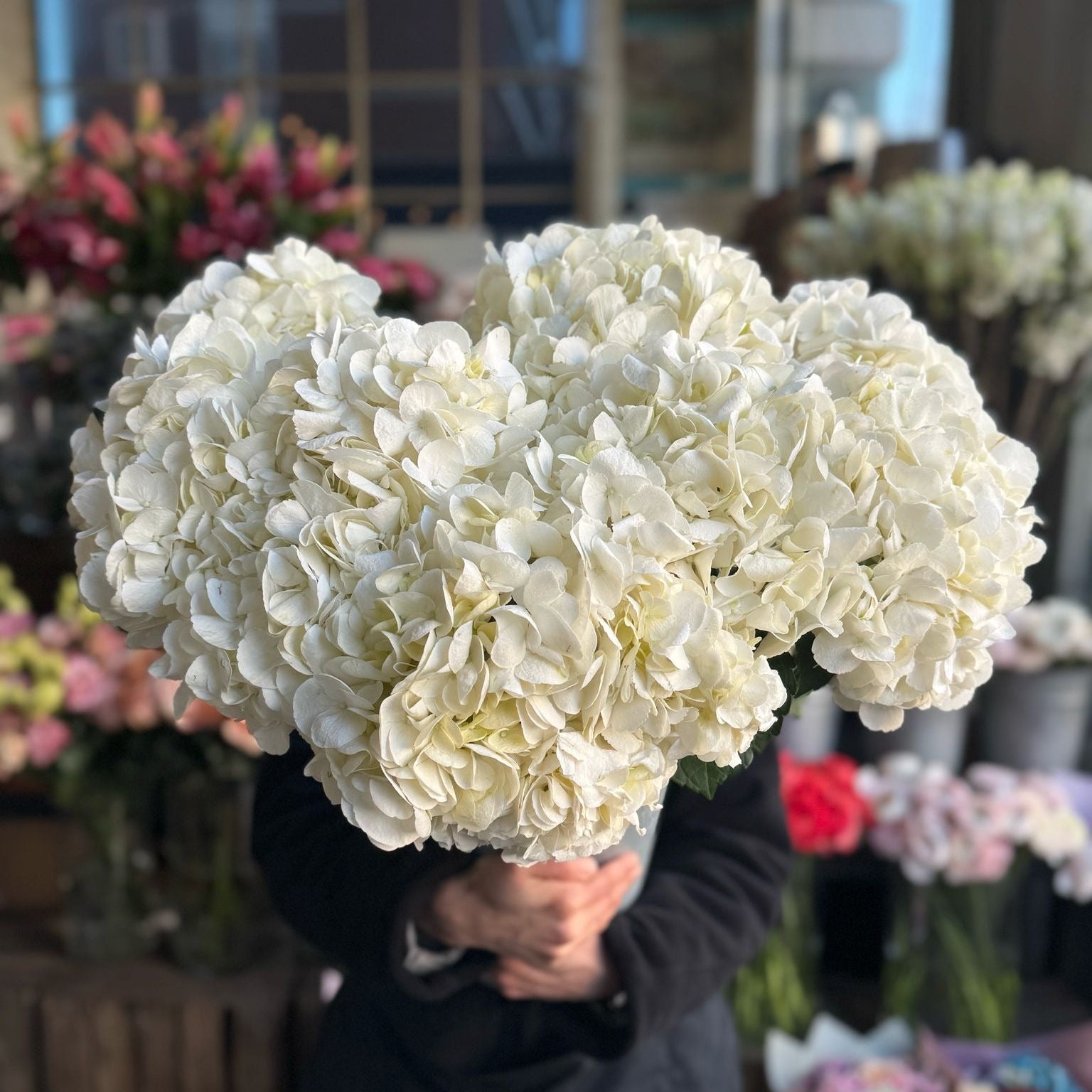White Hydrangea - Petals at Bibendum