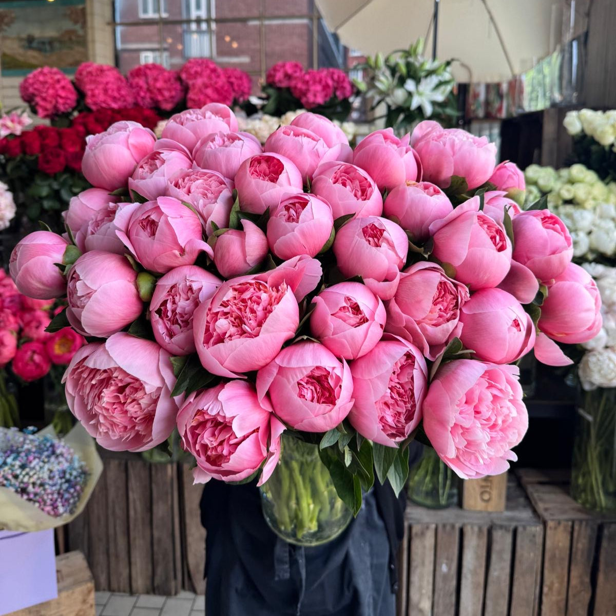 Etched Salmon Peony - Petals at Bibendum