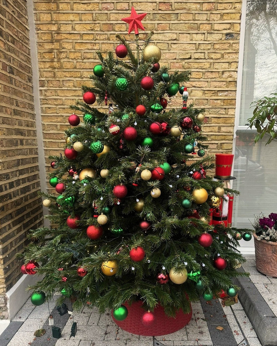 Entrance tree