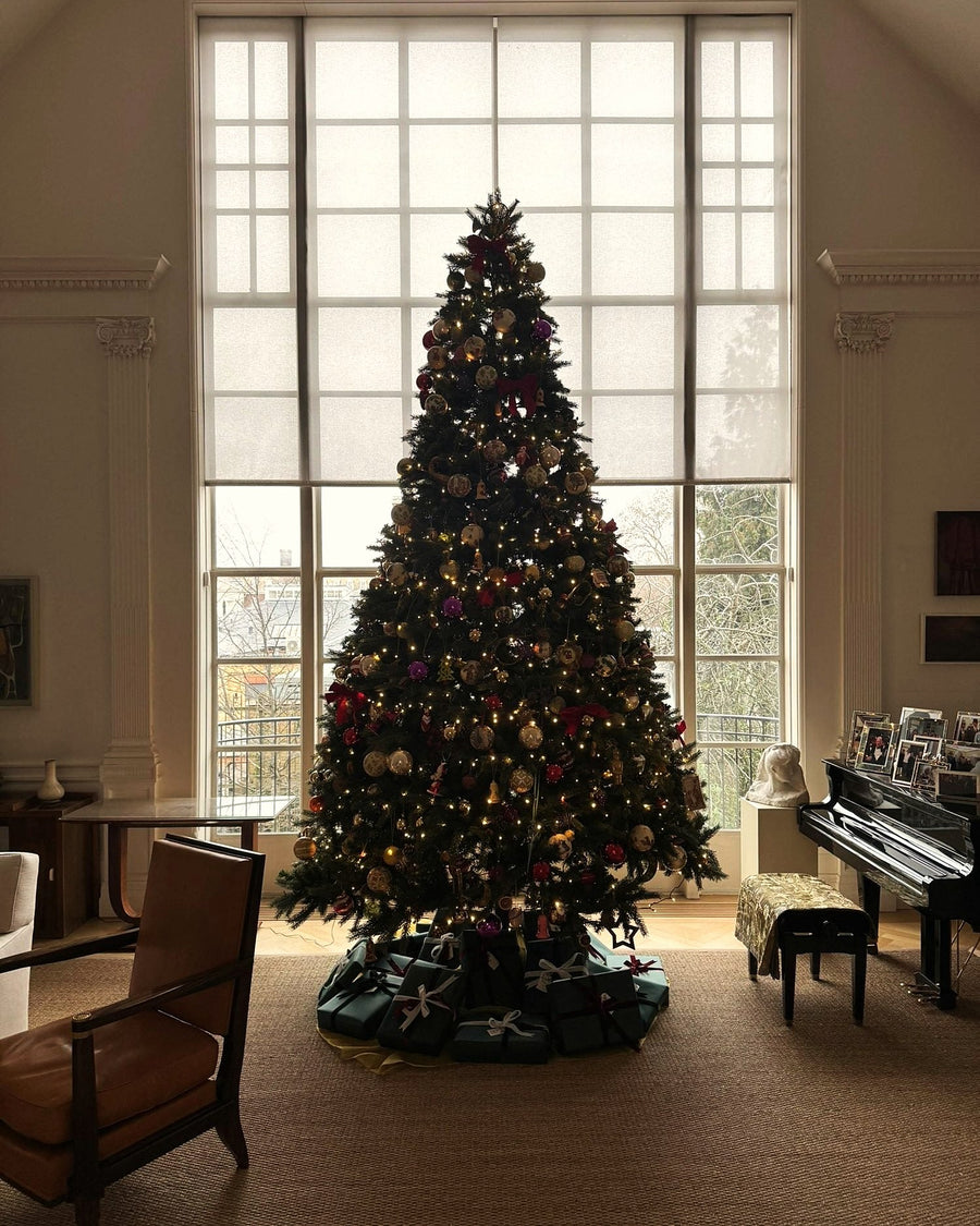 Statement tree